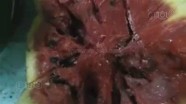 إجراء عاجل من صحة المنوفية بعد فيديو "تاجر البطيخ" المثير للجدل