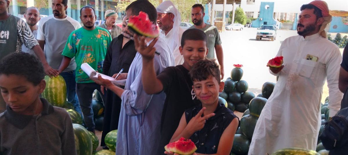 مزاد البطيخ بسوق المستقبل في الإسماعيلية، فيتو
