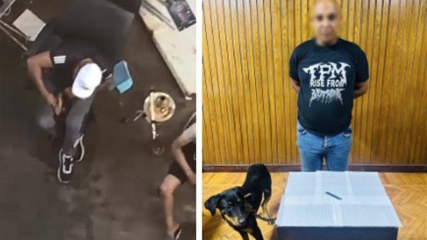 "كنت بدربه على الشراسة"، اعترافات صادمة لمتهم بتعذيب كلب بسلاح أبيض في الإسكندرية