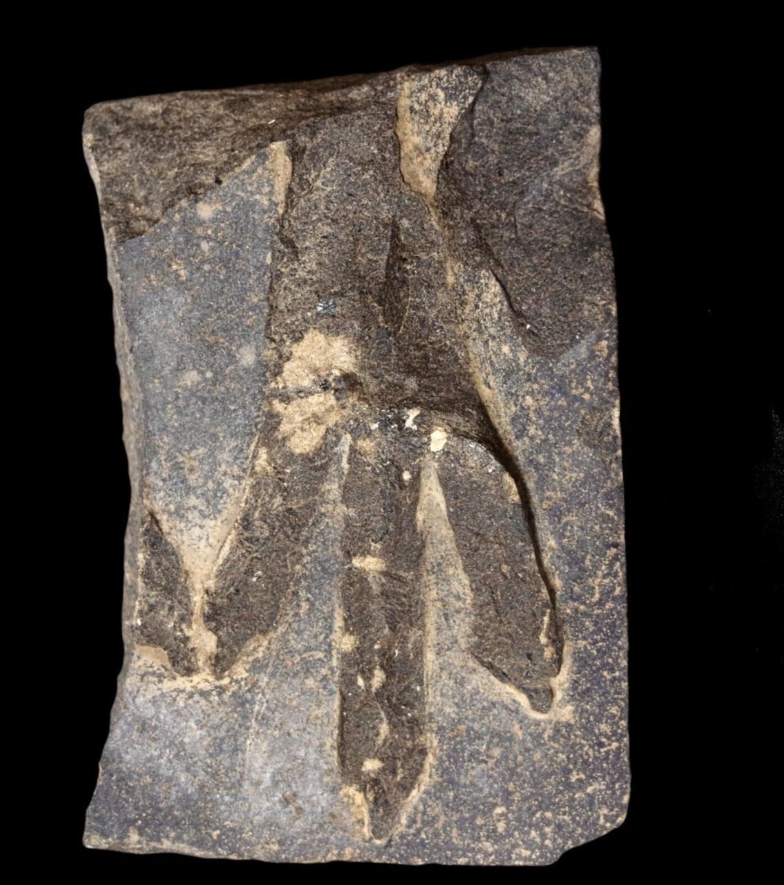 9e15b9334c.jpg
