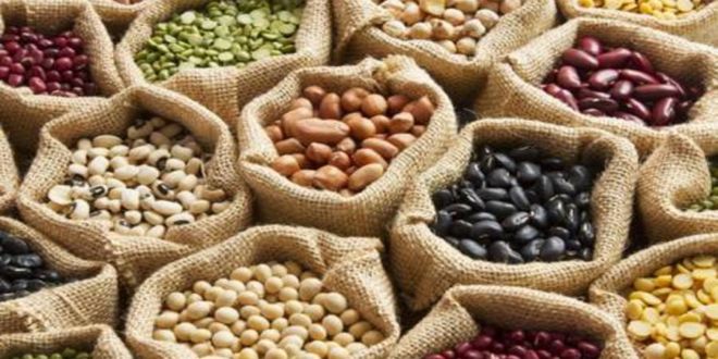 البقوليات