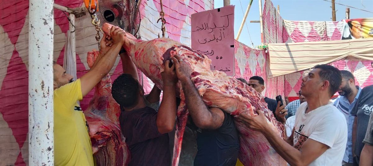 جانب من فاعليات المبادرة، فيتو