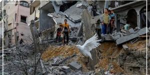 أكثر
      من
      34
      ألف
      شهيد،
      آخر
      إحصاء
      لضحايا
      العدوان
      الإسرائيلي
      على
      غزة
