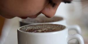 مفاجأة
      لعشاق
      القهوة..
      نجاح
      زراعة
      البُن
      في
      مصر
      "بعد
      تجارب
      استمرت
      40
      عامًا"