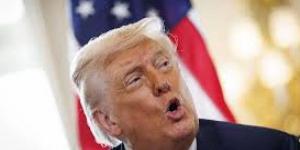 ترامب يحتضن البطريق في غرينلاند ويثير سخرية المغردين