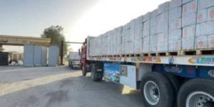 مصر تمد غزة بـ4910 أطنان من المساعدات الإنسانية وتستقبل الدفعة 31 من المصابين