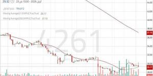 سهم "ذيب" يتحرك في اتجاه هابط رئيسي مع استمرار الضغوط البيعية