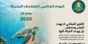 وزيرة البيئة: حماية السلاحف البحرية ضرورة للحفاظ على التنوع البيولوجي