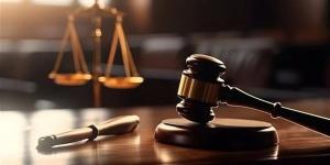 قرار قضائي بمحاكمة 86 متهمًا في قضية «خلية النزهة»