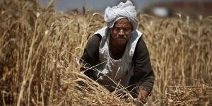 لن تحقق الأمن الغذائي، خبير يكشف خطايا حكومة مدبولي في حق الزراعة بمصر