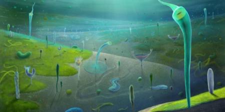 حفريات صينية تكشف عن كائنات بحرية عاشت قبل 546 مليون سنة