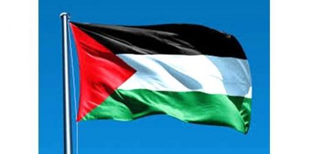 «الخارجية» الفلسطينية: أي اعتداء على الدول العربية أو المساس بأجوائها وأراضيها مرفوض ومدان