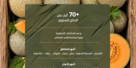 بإنتاج يتجاوز 70.5 ألف طن.. الشمام المنتج محليا يغذي أسواق المملكة بأجود الأصناف