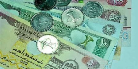 تعرف على سعر الدرهم الإماراتي أمام الجنيه في 5 بنوك مصرية
