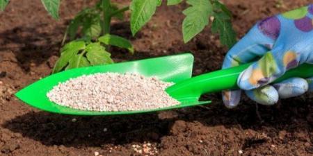 انخفاض اليوريا العادي 3725 جنيها، أسعار الأسمدة اليوم في الأسواق