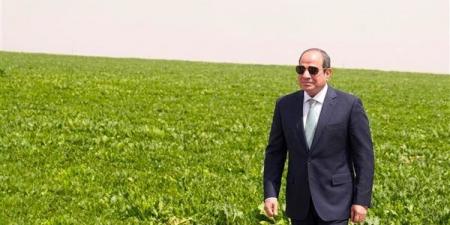 ذكرى ثورة 30 يونيو، السيسي يقود الاقتصاد من التعافي إلى جذب الاستثمارات.. تشييد مشروعات قومية عملاقة وبنية تحتية حديثة.. وإصلاحات تشريعية وتعزيز دور القطاع الخاص وزيادة التنافسية