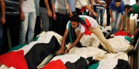 استشهاد حارس مرمى خدمات خانيونس برصاص الاحتلال يرفع عدد شهداء الرياضة لـ1009