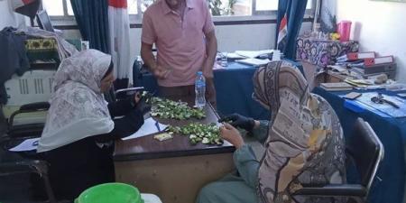 بدء أعمال الفحص للوز القطن الأخضر بالفيوم
