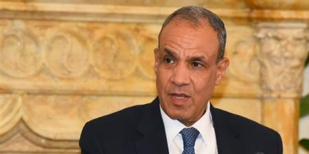 وزير الخارجية: أمن واستقرار مصر من أمن واستقرار الاتحاد الأوروبي