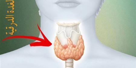 علامات لا يجب تجاهلها، أعراض الغدة الدرقية النشطة