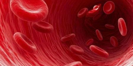 هيئة الدواء توجه 3 نصائح لمستخدمي أدوية سيولة الدم للحماية من خطر النزيف