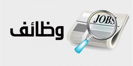 أي كلية تضمن وظيفة أسرع؟ خريطة تشغيل حديثي التخرج في مصر