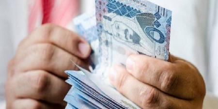 "مصنع البتال" تقلص خسائرها بالنصف الأول..و"المتراكمة" 74.3% من رأس المال