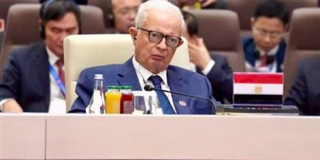 مصر تدعو من قمة شنغهاي لإعادة تشكيل النظام الدولي: «لا مكان للإجراءات الأحادية»