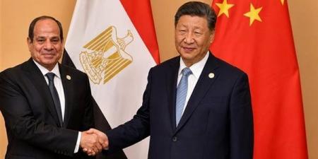 فرص واعدة للقطاع الخاص بالصعيد، خبراء ومسؤولون: زيارة الرئيس الصيني دفعة قوية للاستثمار الزراعي والصناعي