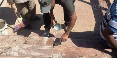 محافظ أسوان يوجه بإصلاح كوبري المشاة بأبو الريش (صور)