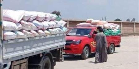 لا بيع للقمح أو الأرز بدون ترخيص، خطوط حمراء بقانون التموين لحماية الحبوب الاستراتيجية