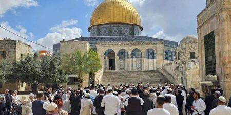 خبير استراتيجي: طقوس المستوطنين بالأقصى جزء من مخطط لطمس الهوية العربية والإسلامية