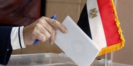 متى يقيد مكتسب الجنسية المصرية في قاعدة بيانات الناخبين؟ القانون يجيب