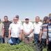 إنتاجية متميزة للنباتات الطبية والعطرية على 350 فدانًا ببلاط في الوادي الجديد