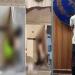 القبض على محاسب لاتهامه بتصوير الفتيات خلسة حال وقوفهن بشرفات منازلهن بالساحل