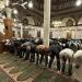 مواقيت الصلاة اليوم الثلاثاء 1 - 9 - 2026 في القاهرة والمحافظات