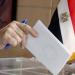 متى يقيد مكتسب الجنسية المصرية في قاعدة بيانات الناخبين؟ القانون يجيب