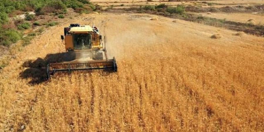 أوكرانيا
      تعلن
      حصاد
      75.7
      مليون
      طن
      من
      الحبوب
      والبذور
      الزيتية