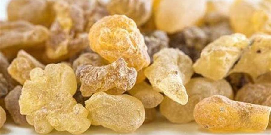 فوائد
      اللبان
      الدكر،
      ضروري
      لتعزيز
      صحة
      الجهاز
      التنفسي
      فى
      الشتاء