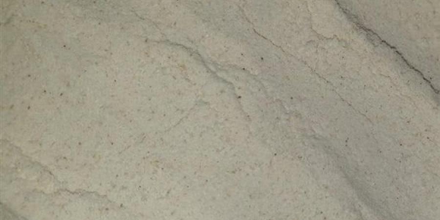 مصادرة
      800
      كيلو
      دقيق
      بأحد
      المصانع
      فى
      الإسكندرية