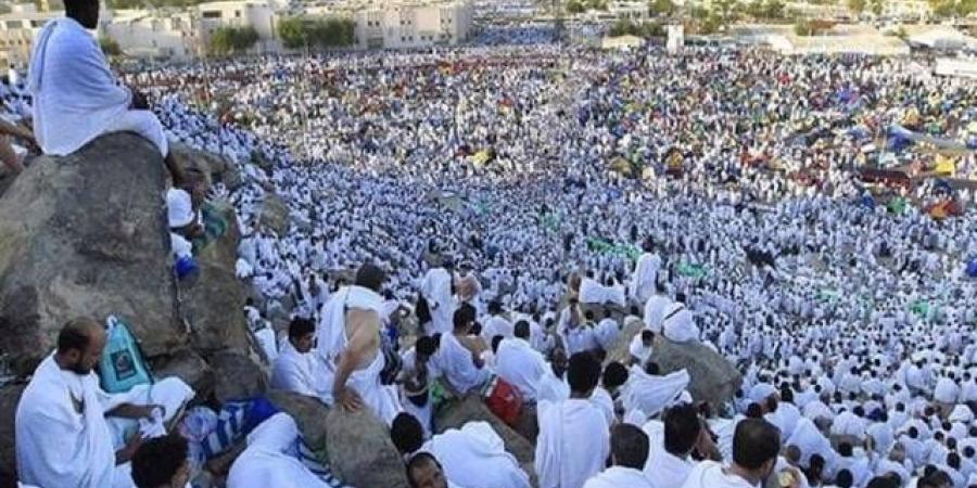 وزارة:
      ضبط
      25
      شركة
      وهمية
      تسوق
      للحج
      التجاري
      بالتعاون
      مع
      السلطات
      العراقية