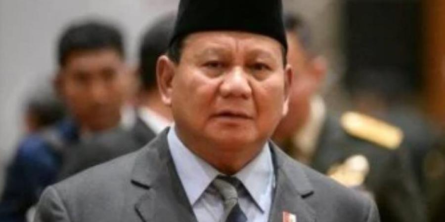 من إسلام أباد.. الرئيس الإندونيسى يجدد التزام بلاده بدعم القضية الفلسطينية