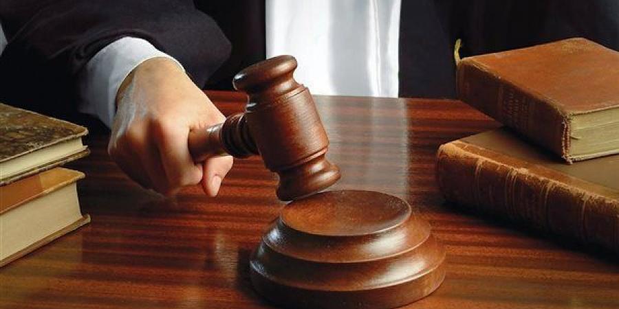 جنيايات دمنهور تنظر استئناف رئيس نادي الجزيرة على حكم حبسه عاما مع الشغل