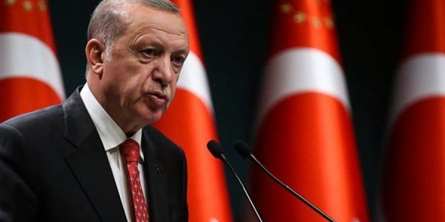 أردوغان: تركيا وبولندا تؤيدان التوصل إلى تسوية سلمية عاجلة في أوكرانيا