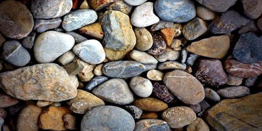 أسعار الزلط في سوق مواد البناء اليوم الأربعاء 24-6-2026