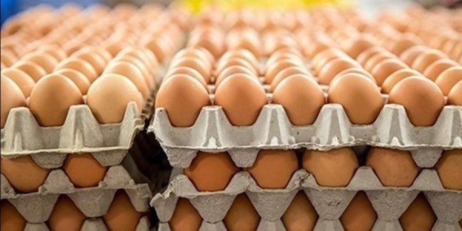 انخفاض الأحمر 4 جنيهات، سعر كرتونة البيض اليوم الخميس في بورصة الدواجن