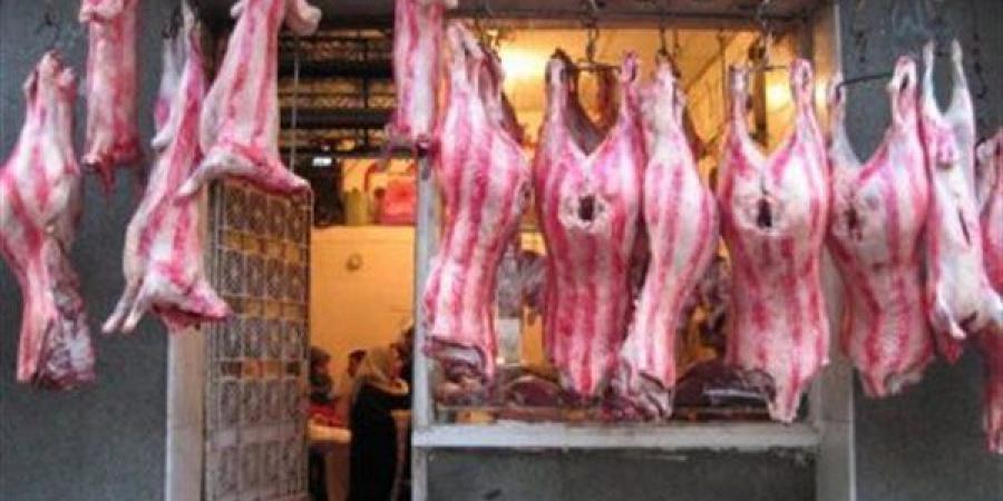 الزراعة: دعم مشروع البتلو بتمويل جديد بقيمة 500 مليون جنيه خلال يونيو