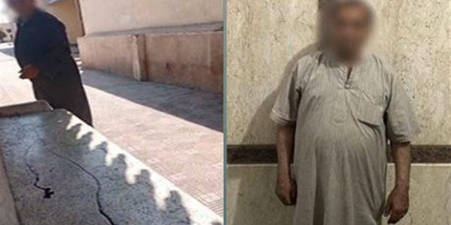 ضبط مسن بتهمة سكب زيت على مقاعد الانتظار بمحطة قطار بكفر الشيخ (فيديو)