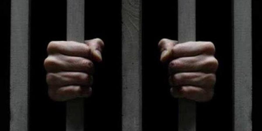 الداخلية تكشف ملابسات فيديو التعدي على سائق بالإسكندرية والنيابة تأمر بحجز المتهم