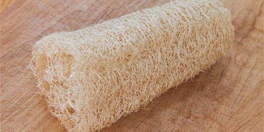 الطريقة الصحيحة لاستخدام لوفة الاستحمام وحمايتها من البكتيريا